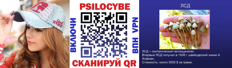 закладки  дарк нет как зайти  Псилоцибиновые грибы Psilocybe  Ачхой-Мартан 